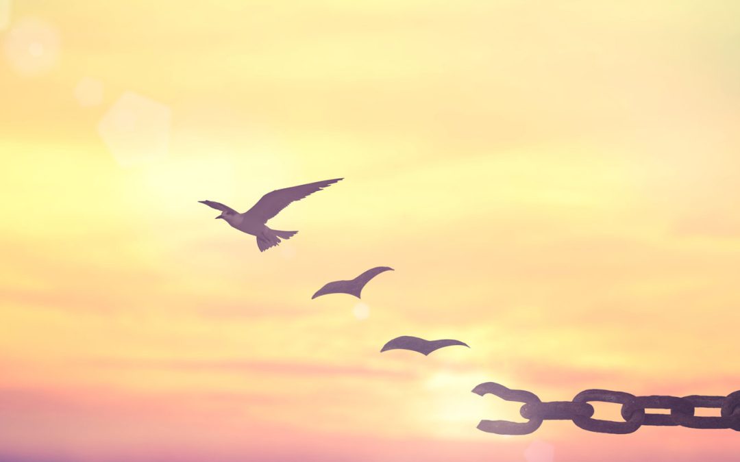 5 Truths about rehab