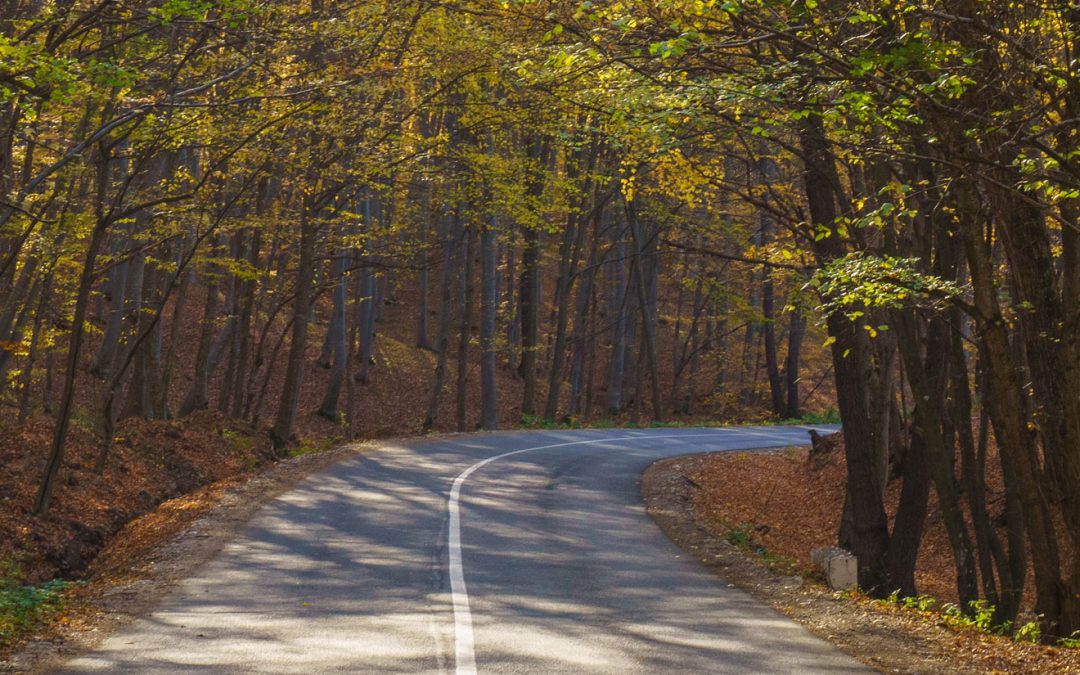 How to get your licence back after a drink driving offence
