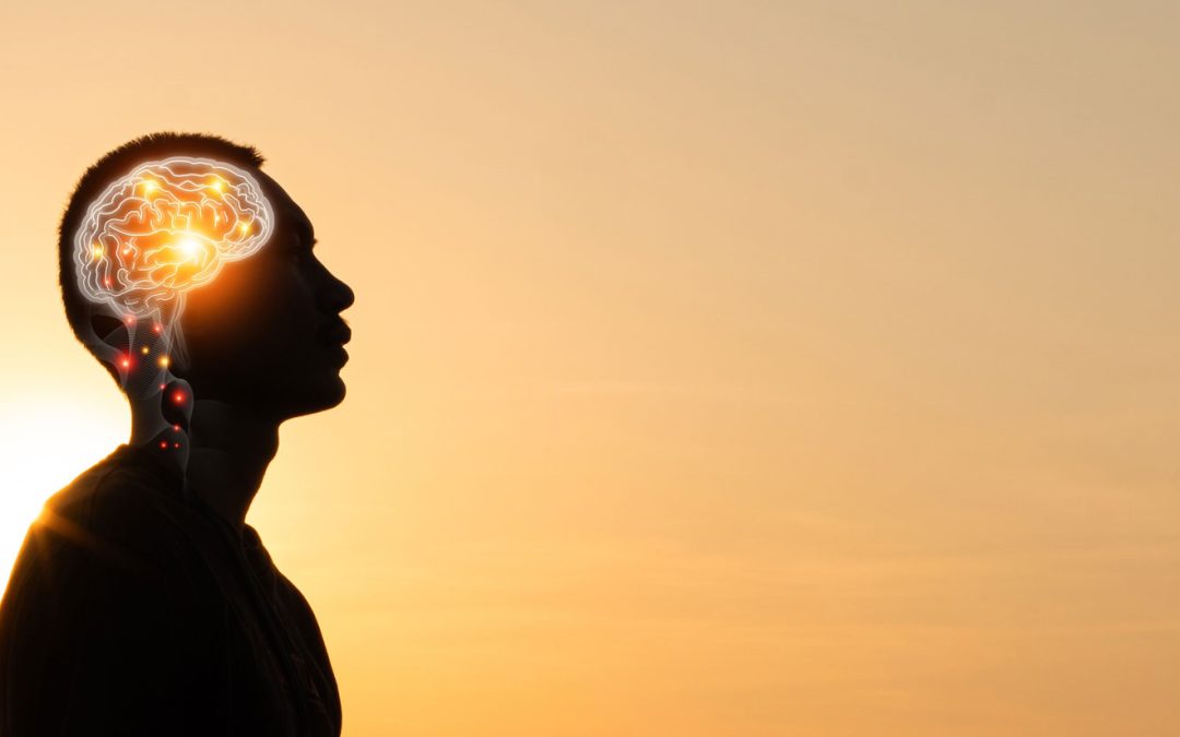 Addiction and the brain