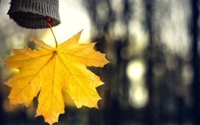 Struggling with addiction & seasonal depression? You’re not alone