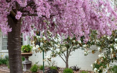 How much does private rehab cost in Melbourne?
